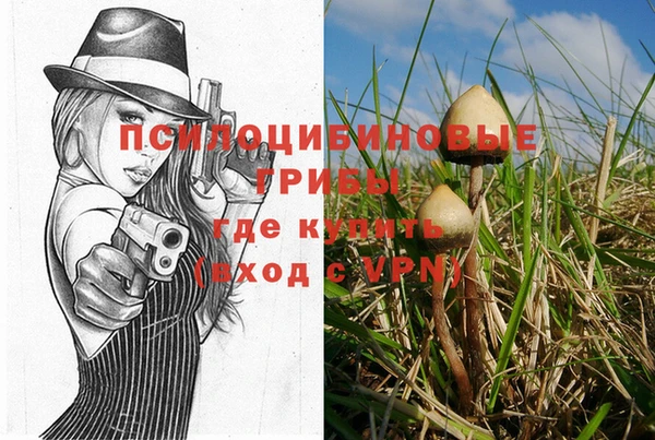 Альфа ПВП Нягань