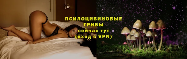 дурь Новозыбков