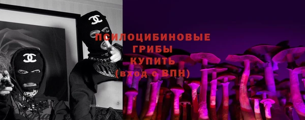 бошки Болхов