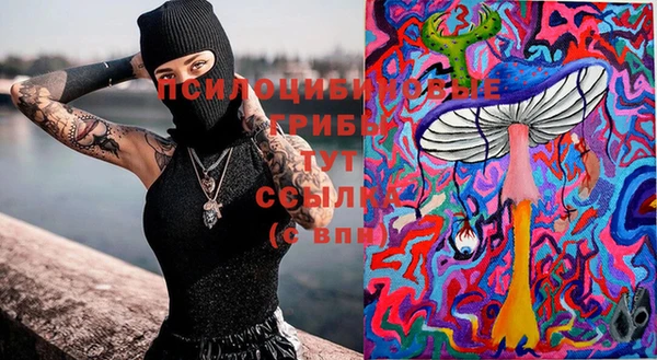 героин Новодвинск
