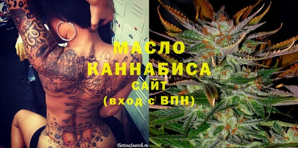 Альфа ПВП Няндома