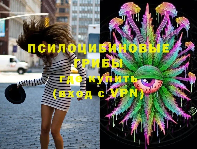 Галлюциногенные грибы Magic Shrooms  Киреевск 