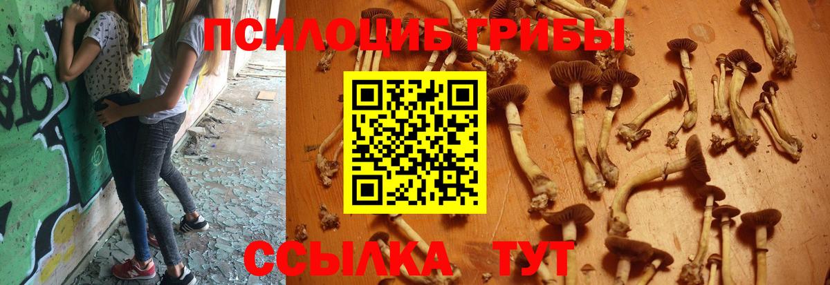 Галлюциногенные грибы MAGIC MUSHROOMS Киреевск