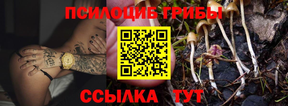 Галлюциногенные грибы ЛСД  Вход с VPN  Киреевск 